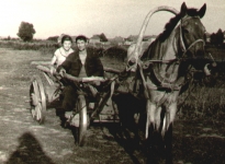 фото 11 - Хусаин Канеев, Алла Решетникова ,1959 г.