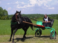 Sabantuy-2016-Skachki-i-bega-094-Bastanovo