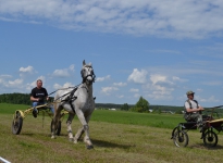 Sabantuy-2016-Skachki-i-bega-119-Bastanovo