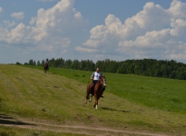 Sabantuy-2016-Skachki-i-bega-139-Bastanovo