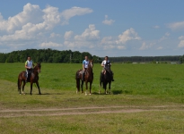 Sabantuy-2016-Skachki-i-bega-146-Bastanovo