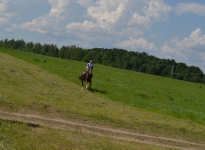Sabantuy-2016-Skachki-i-bega-157-Bastanovo