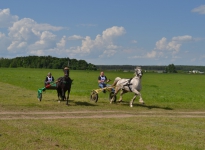 Sabantuy-2016-Skachki-i-bega-173-Bastanovo