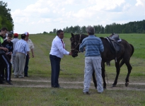 Sabantuy-2016-Skachki-i-bega-188-Bastanovo