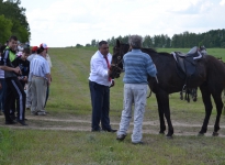 Sabantuy-2016-Skachki-i-bega-189-Bastanovo