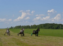 Sabantuy-2016-Skachki-i-bega-194-Bastanovo