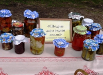 Sabantuy-2016-yarmarka-umel'tsev-567-Bastanovo