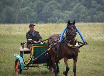 sabantuy06072019bastanovo072