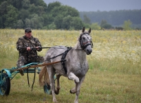 sabantuy06072019bastanovo087